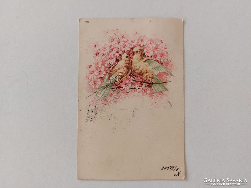 Old postcard 1900 postcard doves pink flowers