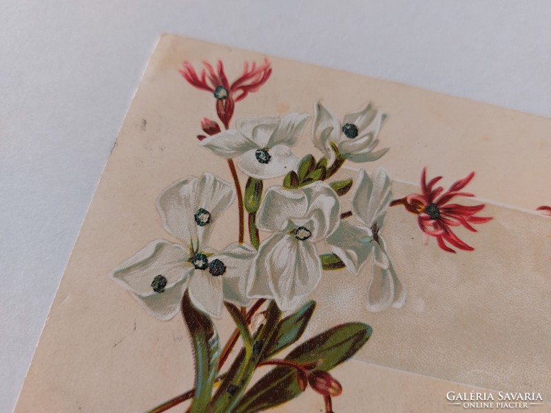 Régi képeslap 1900 levelezőlap virágok