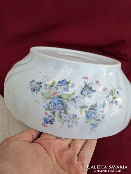 Forget-me-not Czech floral porcelain pie plate soup plate stew plate coma plate peasant plate