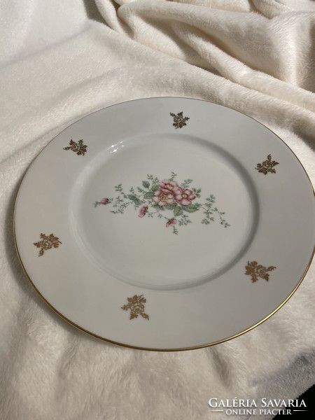Limoges French plates 7 pcs, with flower pattern decor