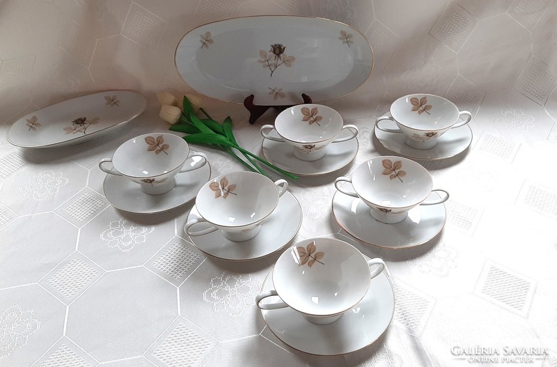 5030 - Dreamy Rosenthal soup cup with plate + tray