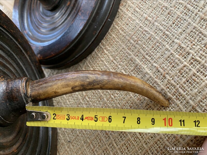 Some kind of old tusk or horn trophy