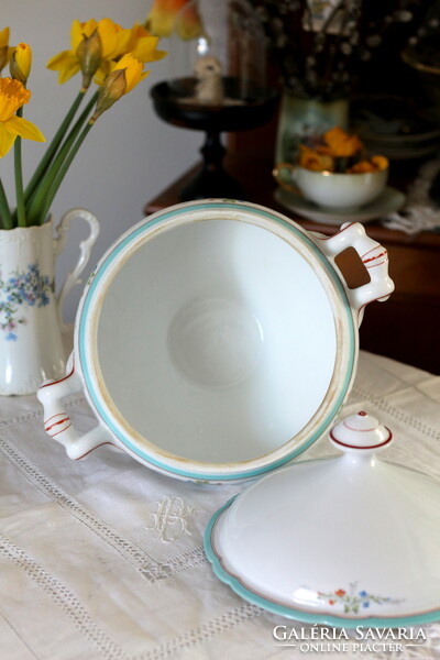 Beautiful, hand-painted porcelain Bieder soup bowl