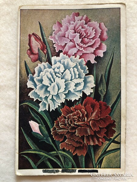 Antik, régi virágos képeslap                                      -5.