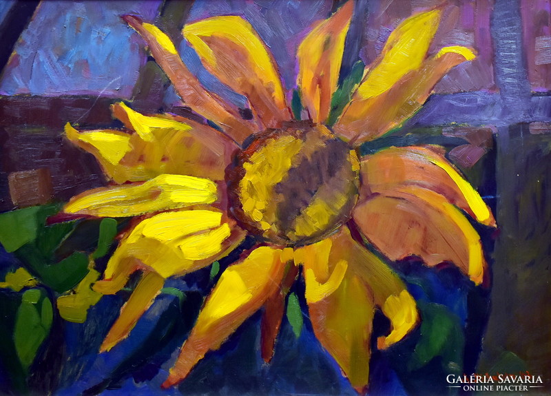 Unknown Polish painter: sunflower