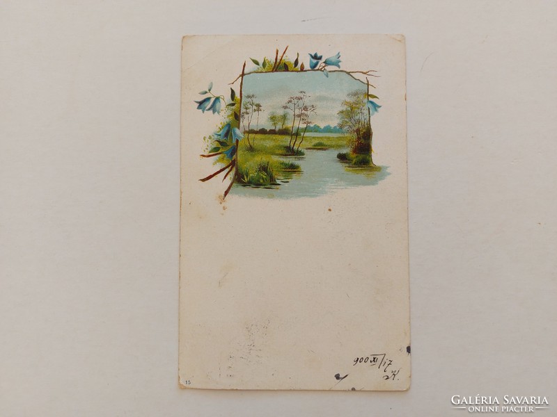 Old postcard 1900 postcard landscape with blue flowers