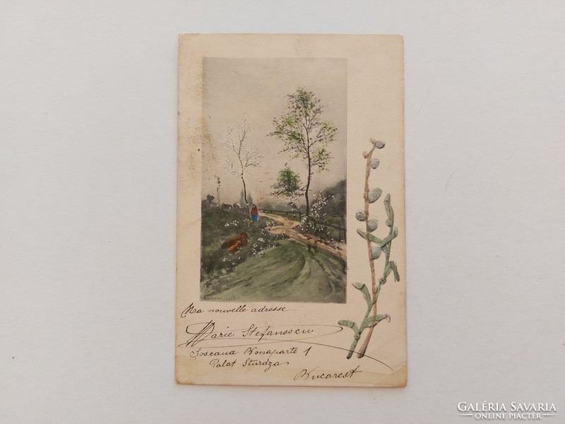 Old postcard postcard spring landscape catkins