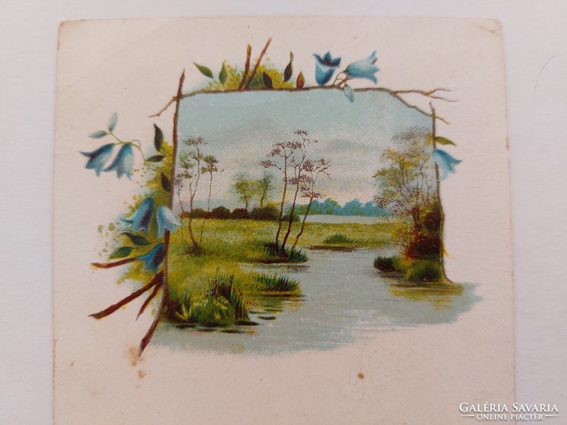 Old postcard 1900 postcard landscape with blue flowers