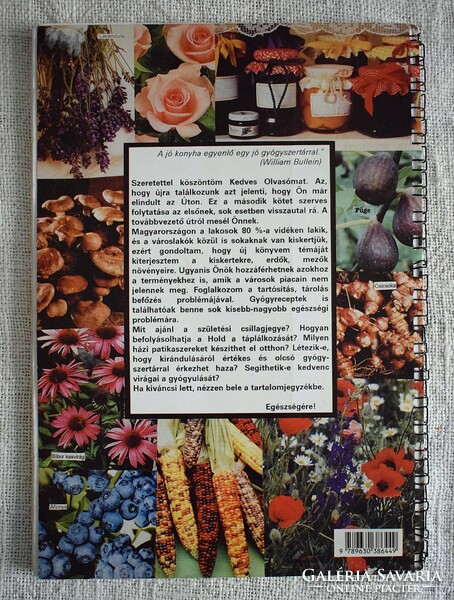 A gyógyító konyha II. kiskertek , erdők , mezők kincsei Temesvári Gabriella 2000 szakács könyv