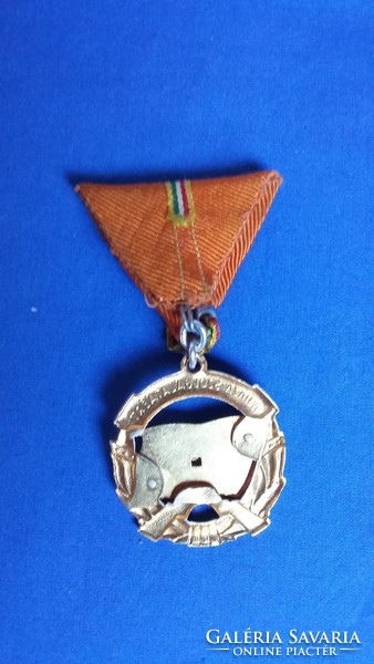 Gold Medal for Serving Home
