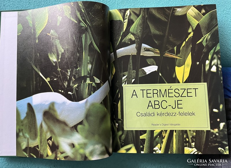 A természet ABC-je könyv