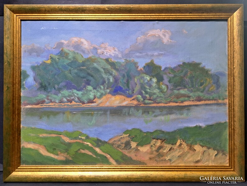 Riverside landscape - oil painting - Danube/ Tisza