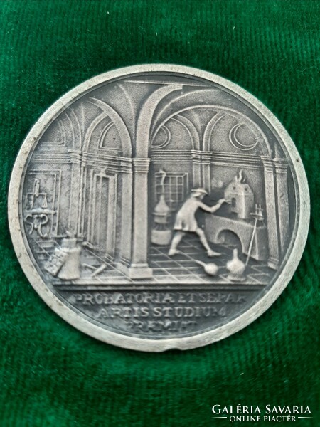 International conference balatonfüred 1981.Vi.1-3 Commemorative medal in its own box
