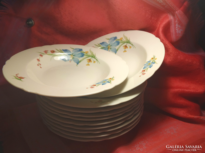 Seltmann weiden 12 porcelain deep plates