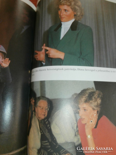 Diana biography book