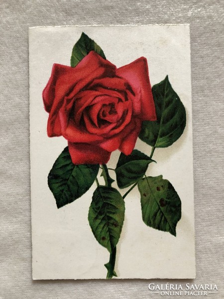 Antique floral postcard