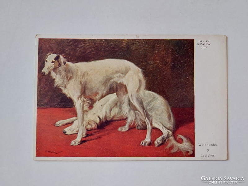 Old postcard art postcard greyhound dogs