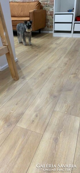 5 M2.14 mm waterproof laminate floor replacement cell, or in a smaller room/pantry, pantry