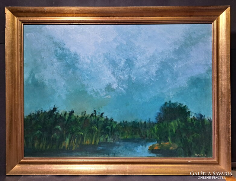 József Tímár: wild waters - gallery, exhibited oil painting, 1986 - contemporary painter