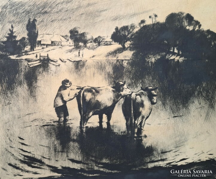 József Kórusz: cows - etching - landscape, picture of life on the banks of the Danube