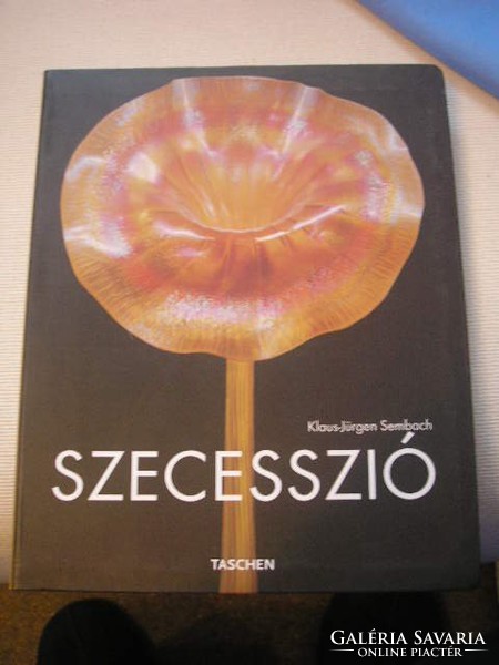 Secessionszió's special specialist book with 240 pages is for sale as a gift