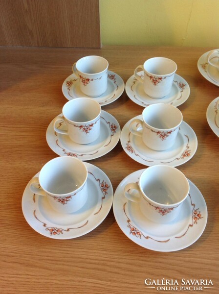 Alföldi porcelain with rosehip pattern - 6-piece coffee cup + saucer