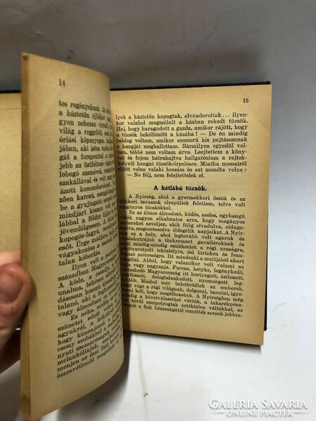 1922 Athenaeum unique first edition krúdy !!! N. N. (A Love Child) novel