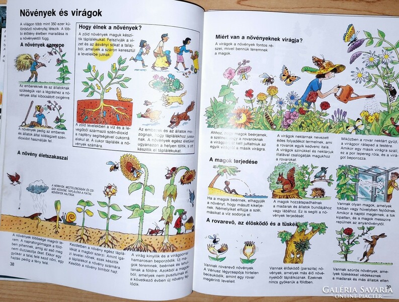 Usborne encyclopedia for children (jane elliott colin king)