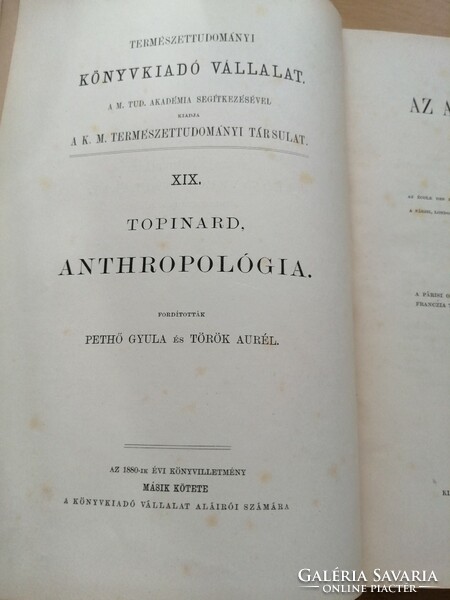 Az anthropológia kézikönyve 1881