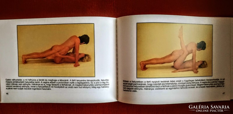 ÖRÖMSZERZÉS. A nyolcvanas évek szexuális oktató kiadványa.