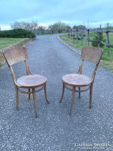 2 marked thonet chairs