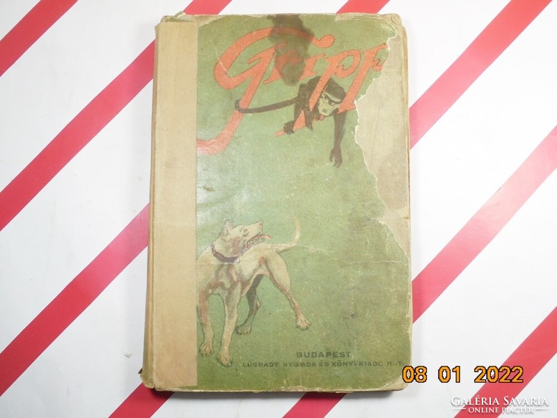 Nils Fredrik Cronstedt: Gripp Egy kutya kalandjai Afrikában, antik könyv 1924-es kiadás
