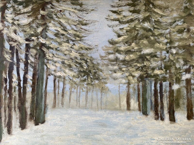 Winter forest scene - oil, cardboard