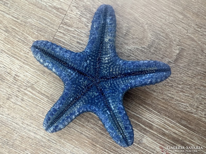 Real starfish preparation