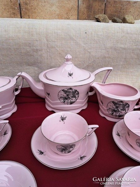 Beautiful pink butterfly pattern tea set cup epiag czechoslovakia plate teapot cream