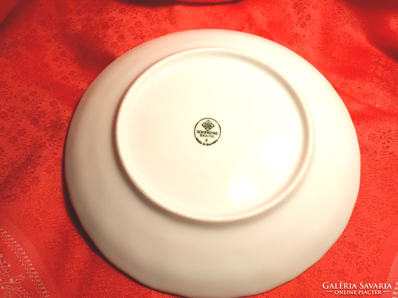 Porcelain plate with onion pattern for replacement