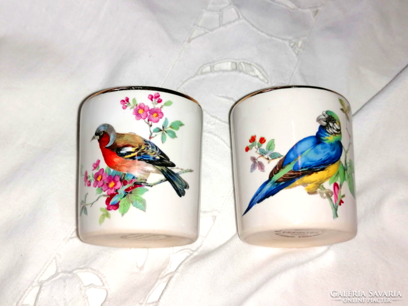 Pair of English, bird-patterned glasses