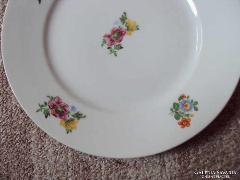 Retro old porcelain small plate with flower pattern