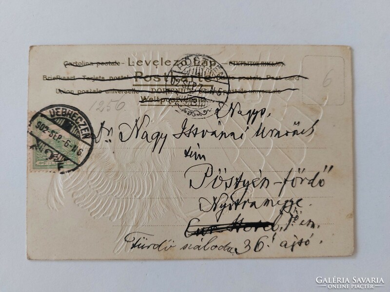 Régi képeslap 1902 dombornyomott levelezőlap gólya baba