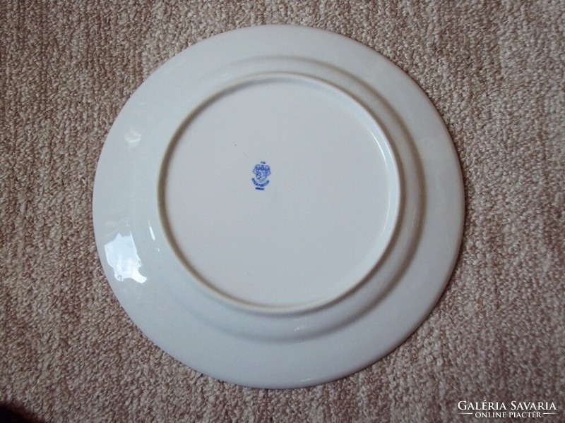 Retro old flat plate plain porcelain with blue border, factory kitchen