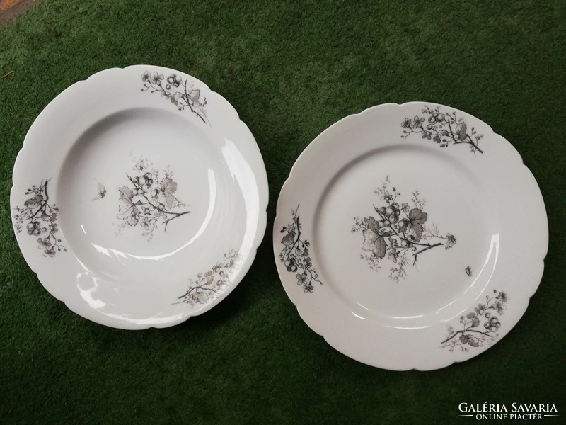 Antik Dallwitz porcelán tányérpár 1840 -1850