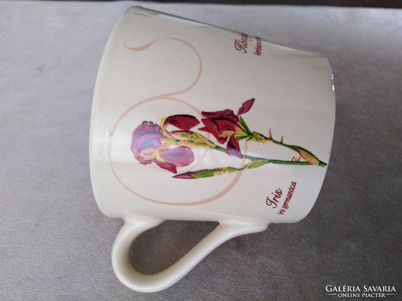 Ceramic tea cup - iris, poppy