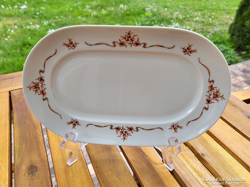 Alföldi porcelán_csipkebogyós virslis tányér