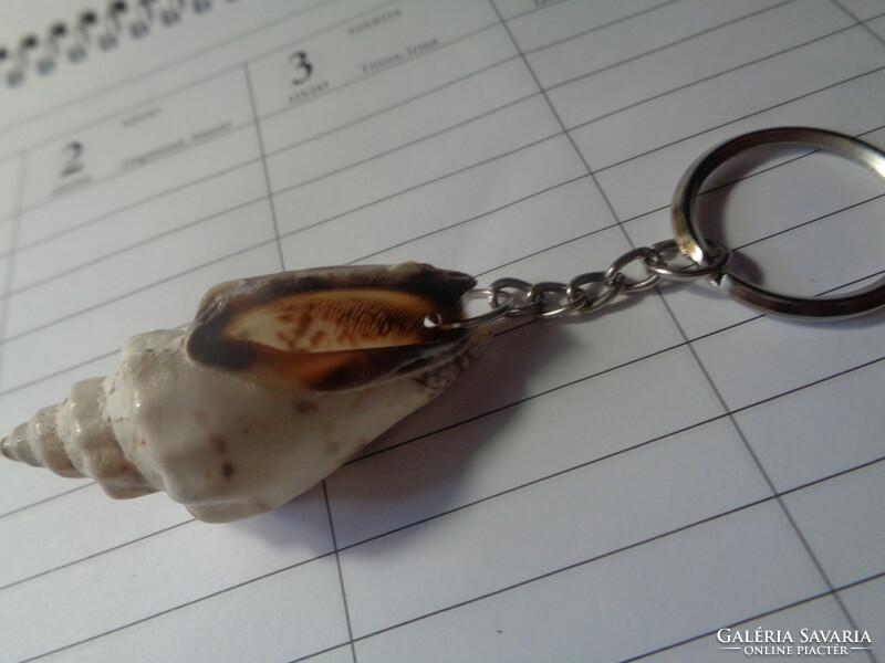Key ring with sea snail / 4.5 cm /