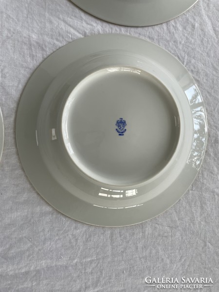 Retro, vintage 6 lowland porcelain plates with purple flowers, deep plate
