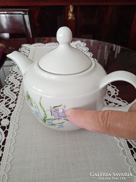 German Kahla porcelain coffee/tea pot - spout --- for Mother's Day!!