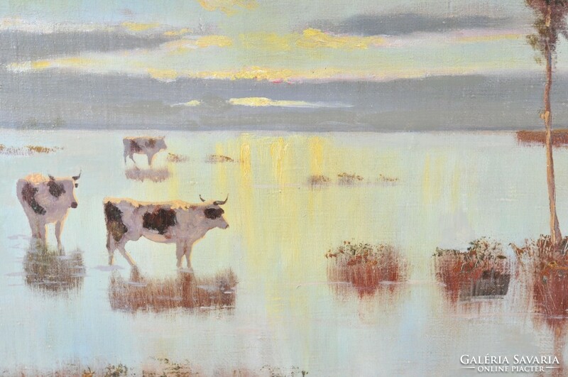 Károly Jakab (1904-1994): herd of cows in a swampy landscape