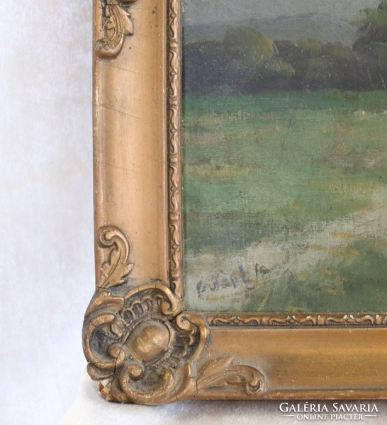 Antique very old signed painting from heritage - 40x 32 cm