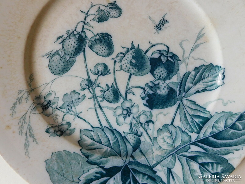Tc Brown-Westhead Antique English Strawberry Cauldon Platter, 1860s