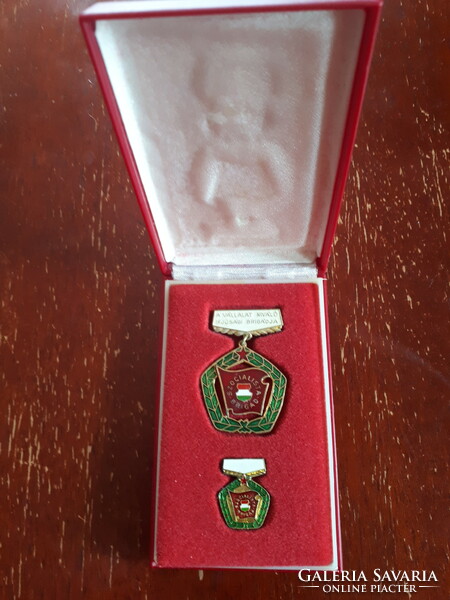 The company's excellent youth brigade with award badge, in its original box